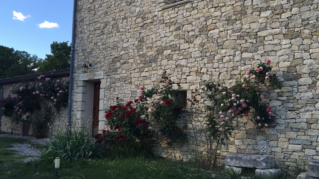 Photo of Outdoor in Mane