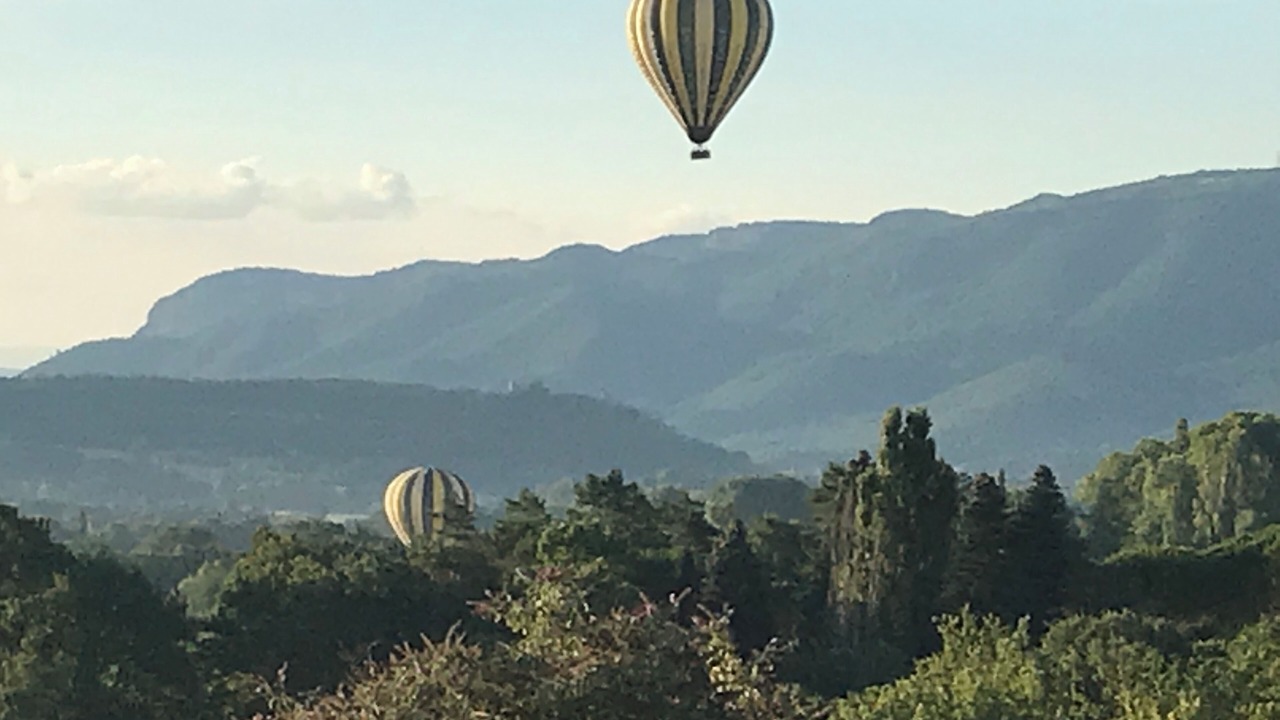 Photo of Others in Mane