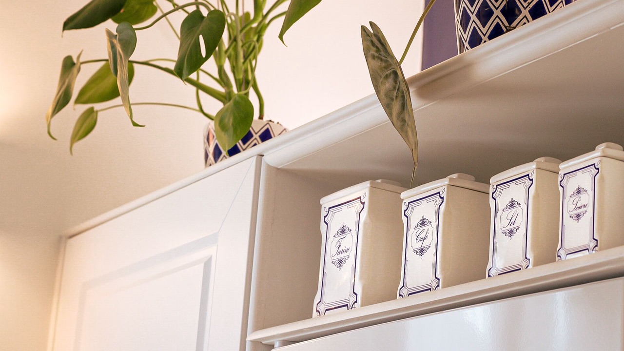 Photo of Others in Troyes