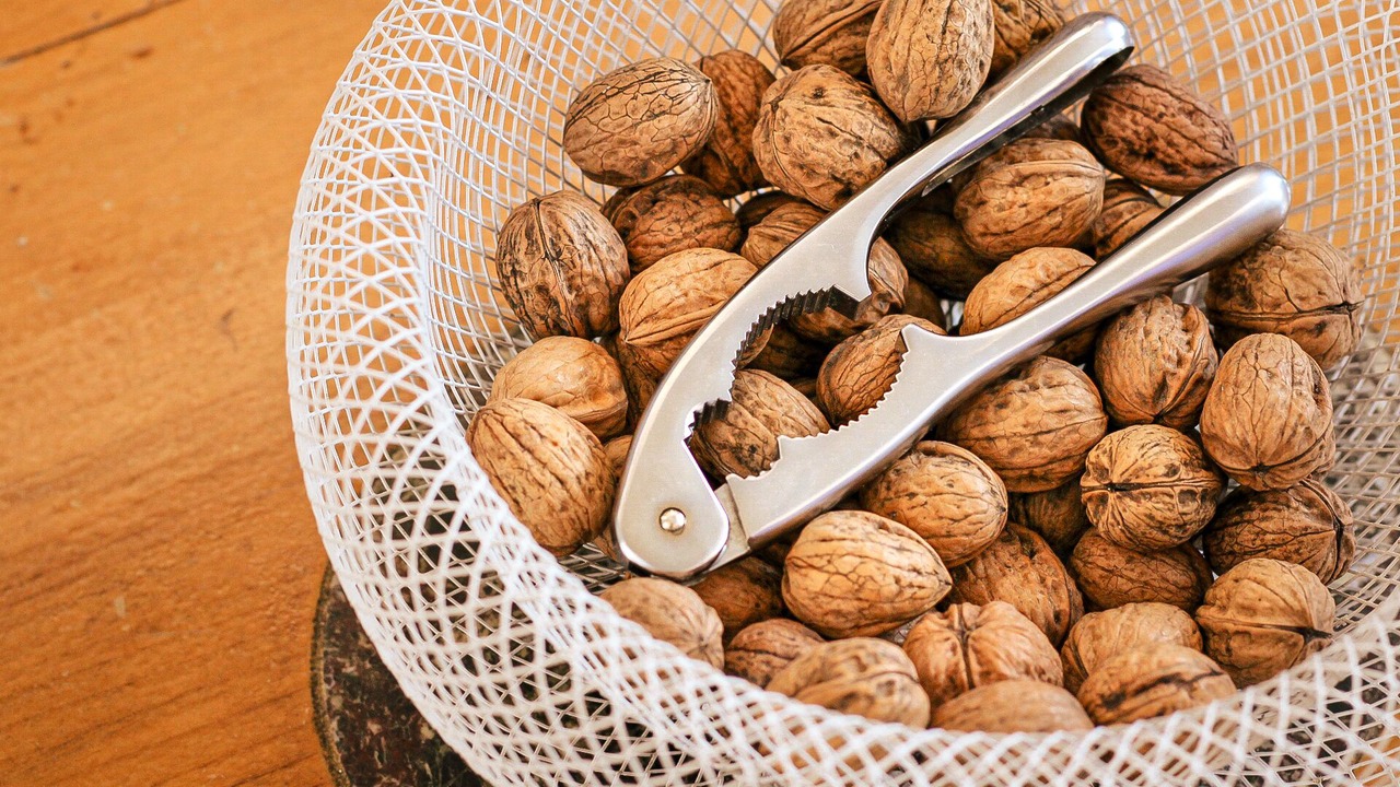 Photo of Others in Troyes