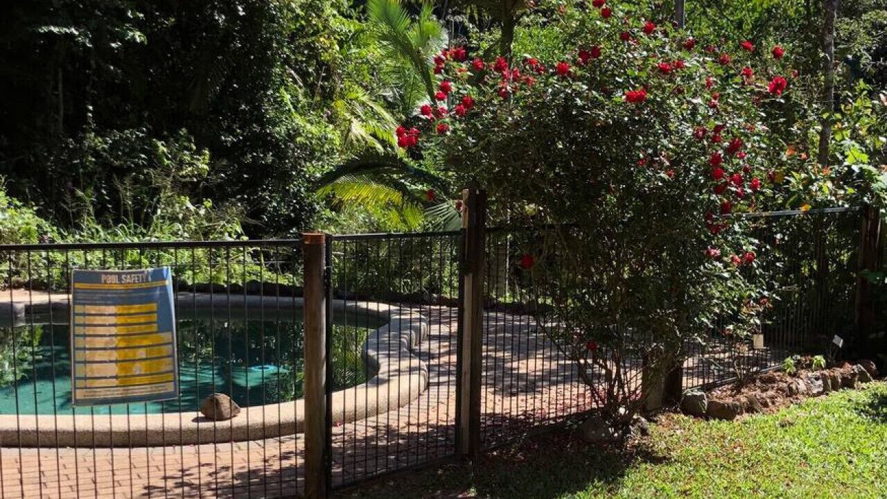 Photo of Outdoor in Kuranda