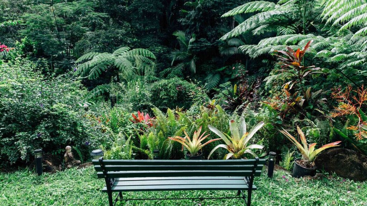 Photo of Outdoor in Kuranda