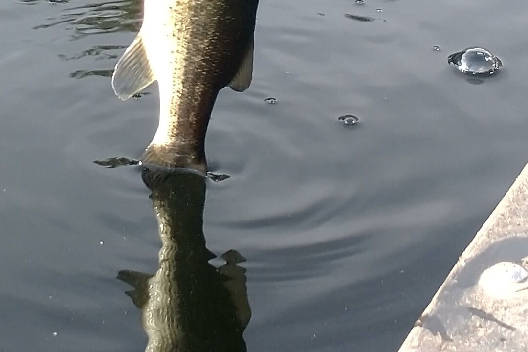 Photo of Others in Epsom