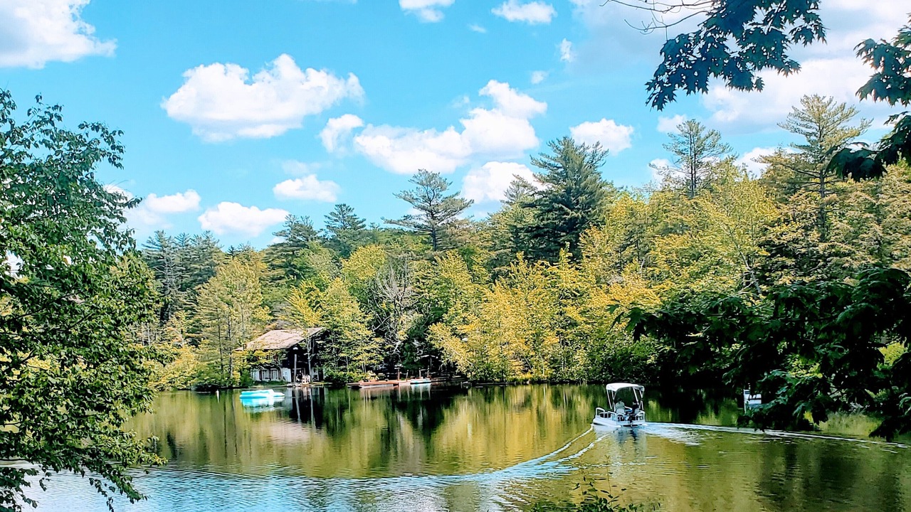 Photo of Outdoor in Epsom