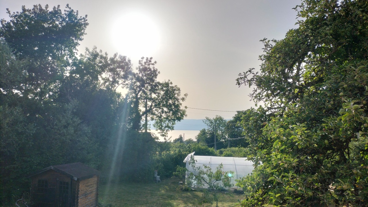Photo of Outdoor in Marin