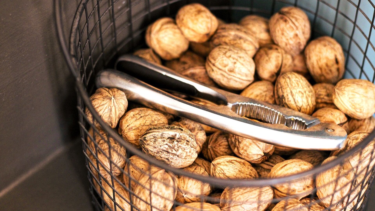 Photo of Others in Troyes