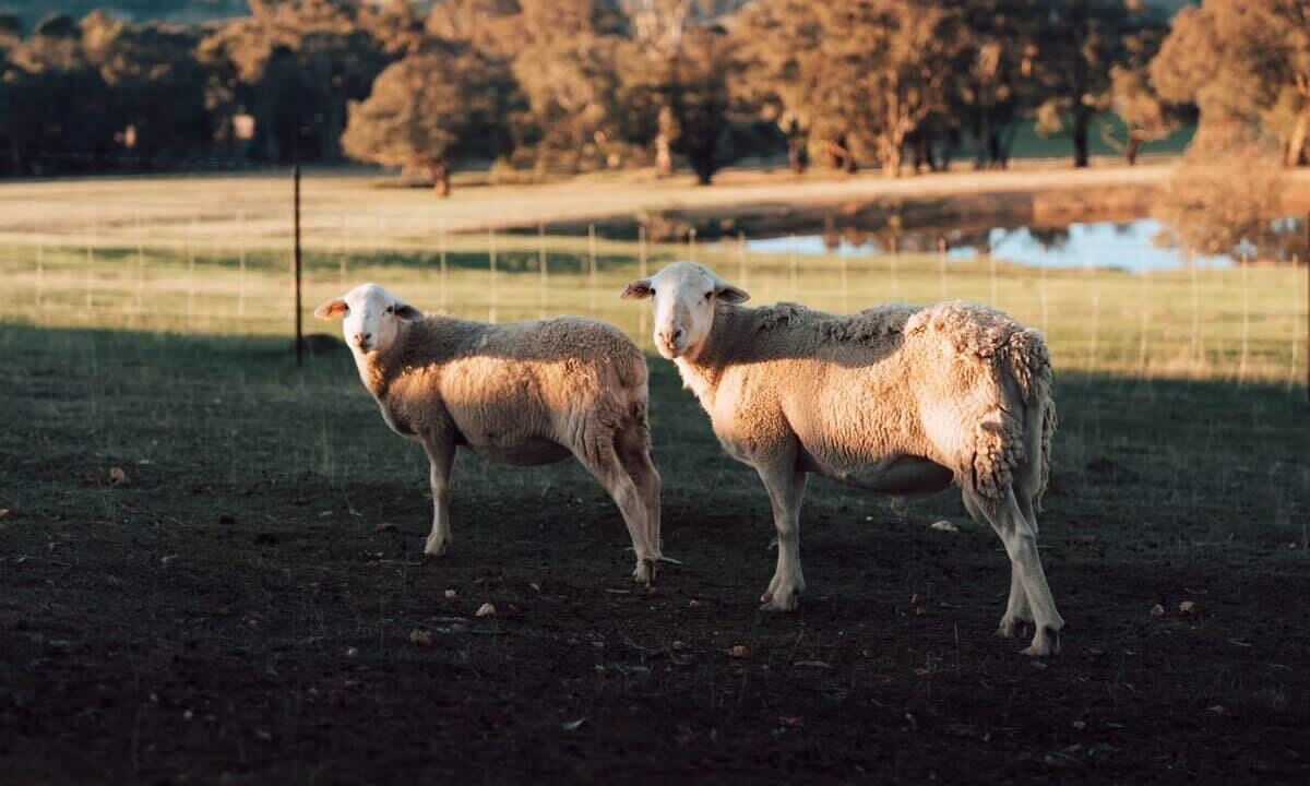 Photo of Outdoor in Warrenmang