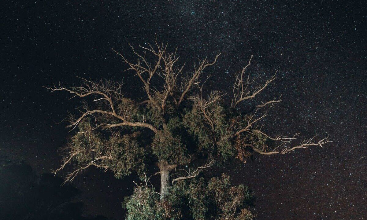 Photo of Outdoor in Warrenmang