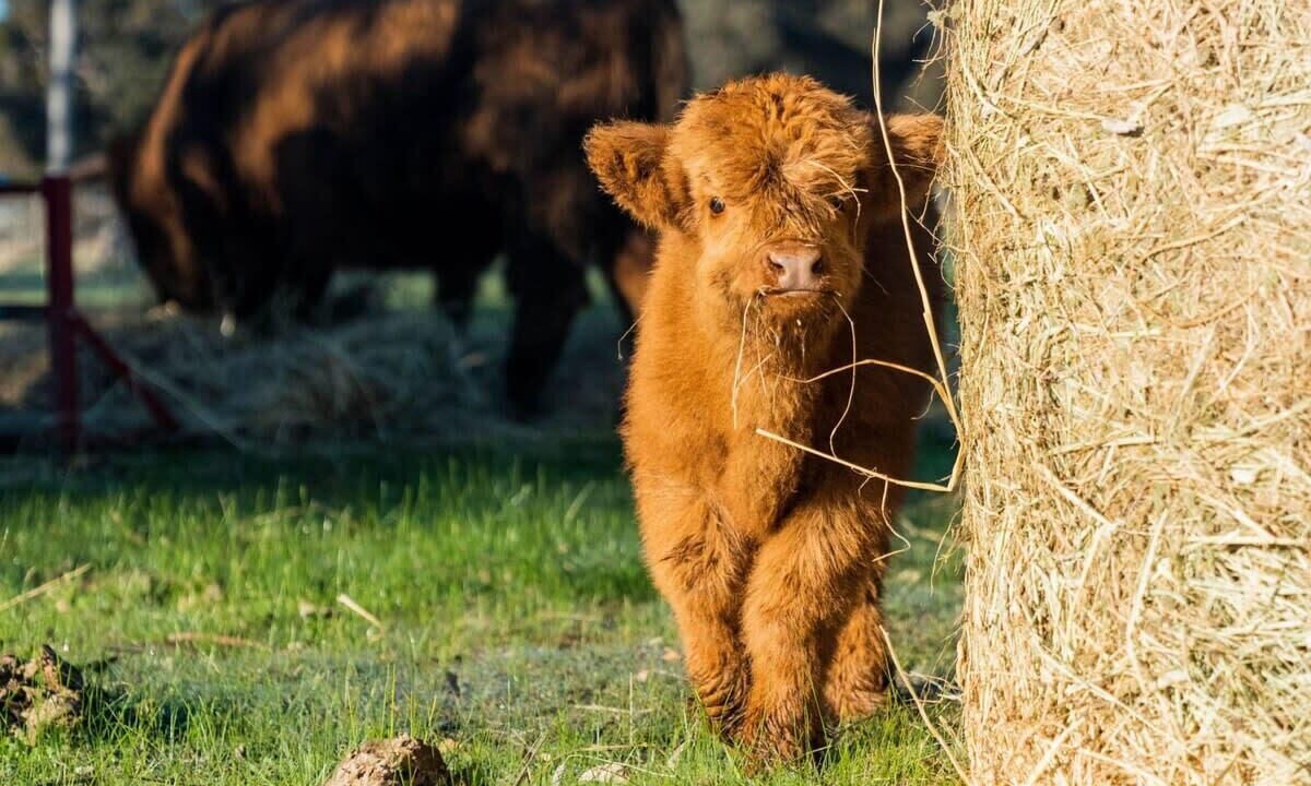 Photo of Outdoor in Warrenmang