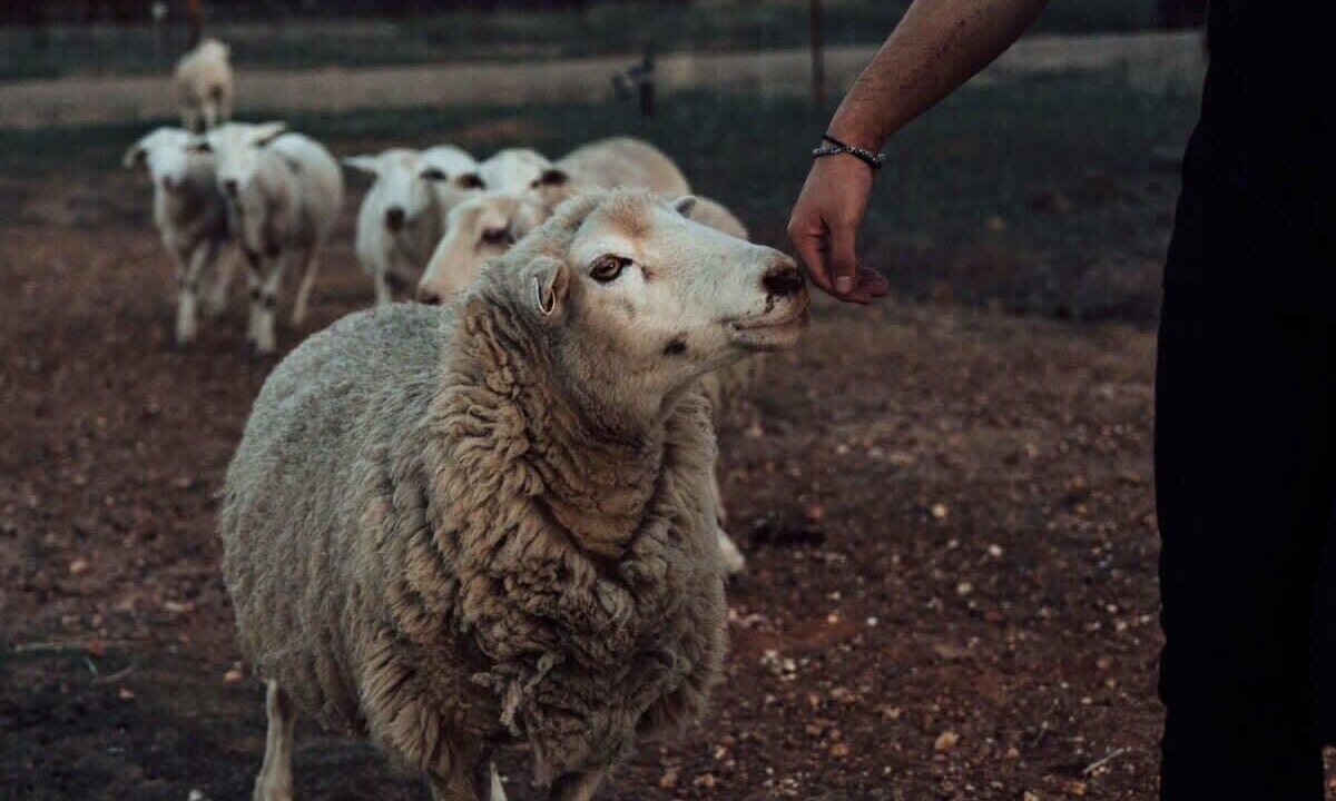 Photo of Bathroom in Warrenmang