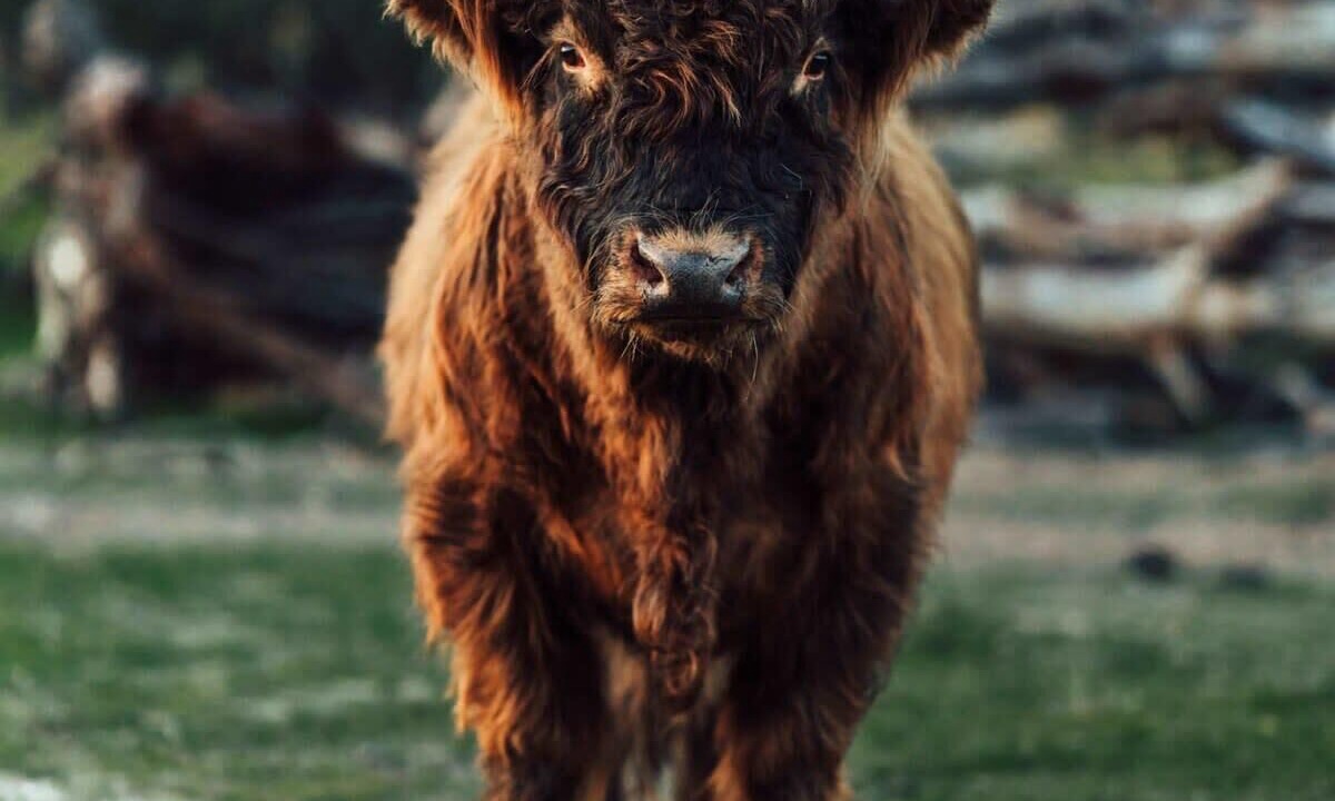 Photo of Outdoor in Warrenmang