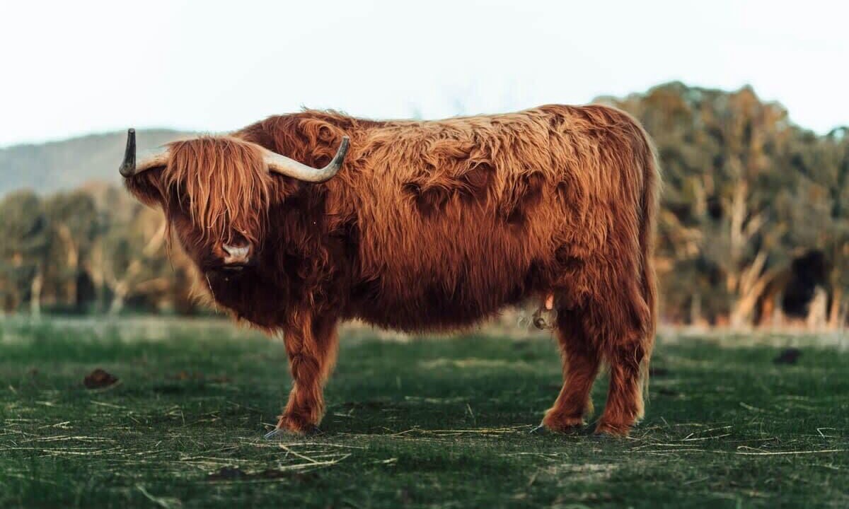 Photo of Others in Warrenmang