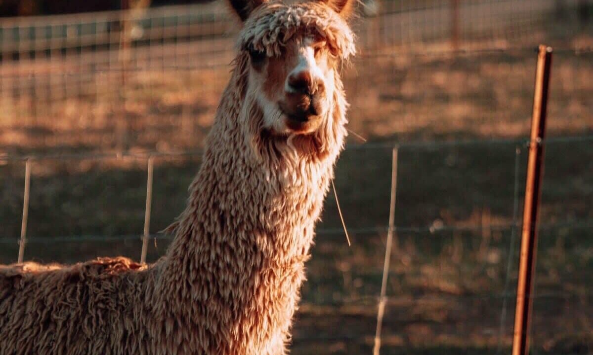 Photo of Others in Warrenmang