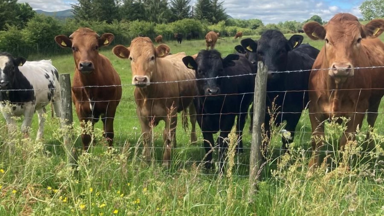 Photo of Others in Penrith