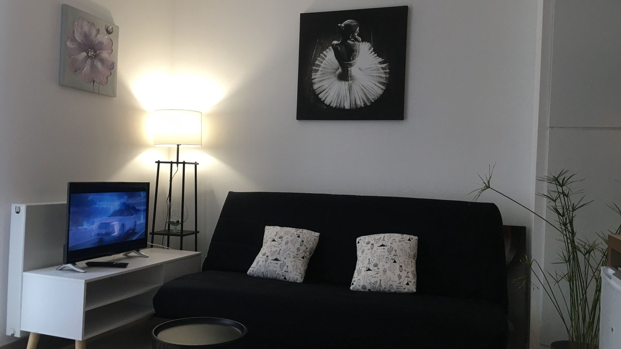 Photo of Livingroom in Tours City Centre