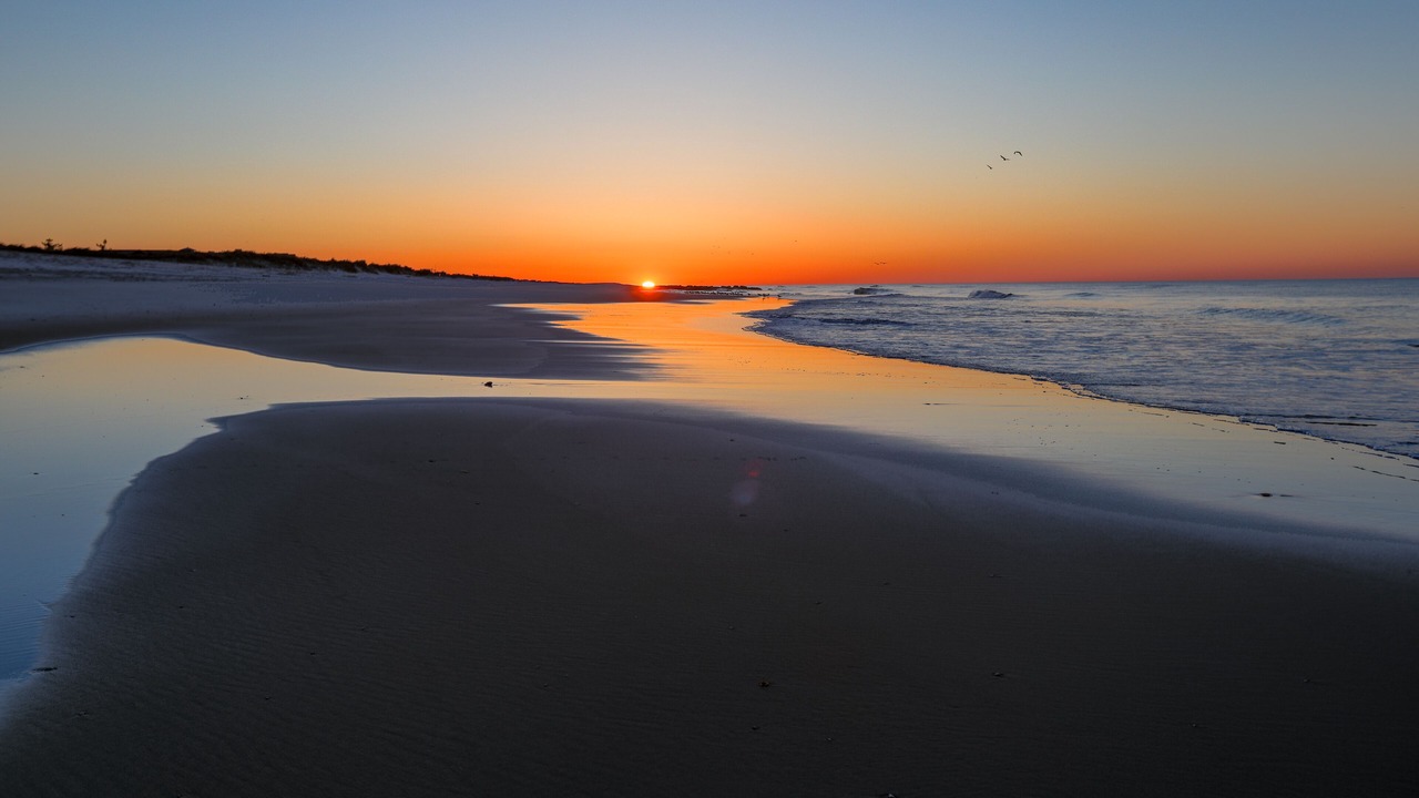 Photo of Others in Westhampton Beach