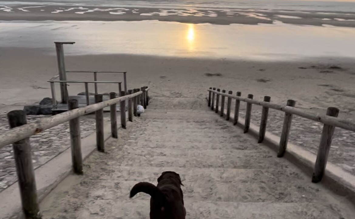 Photo of Others in Hardelot-Plage