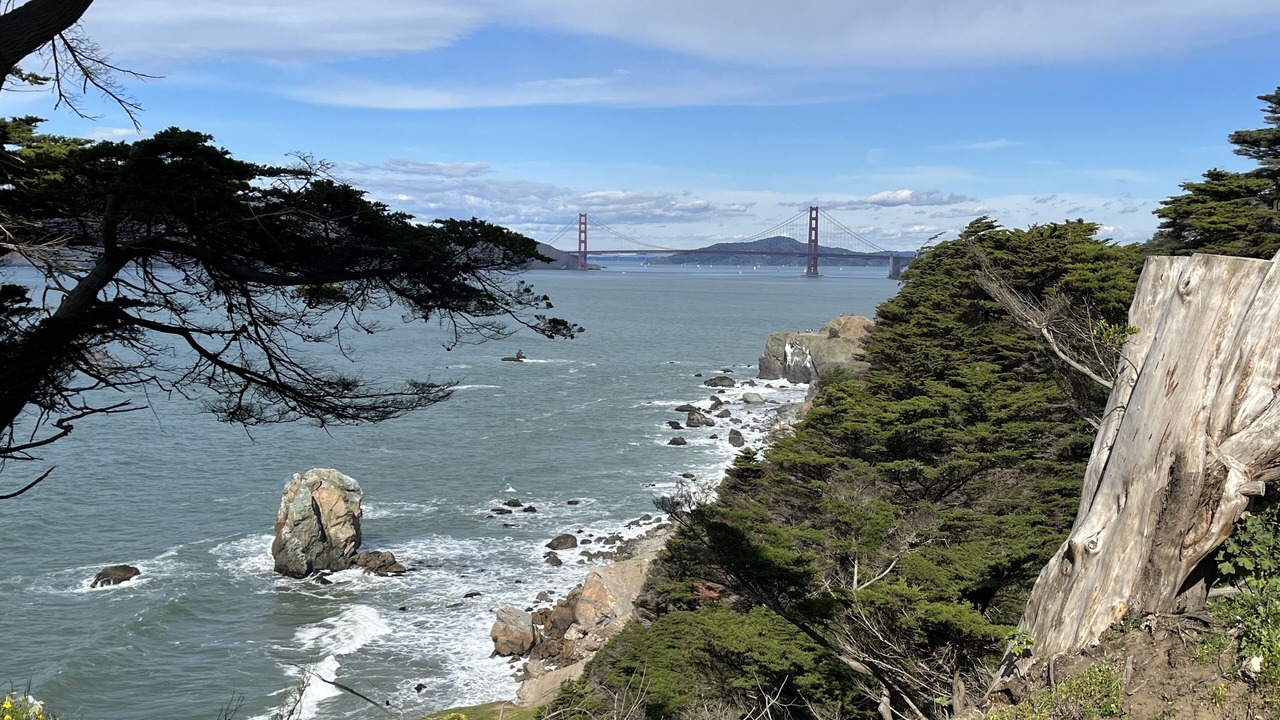 Photo of Others in Pacific Heights