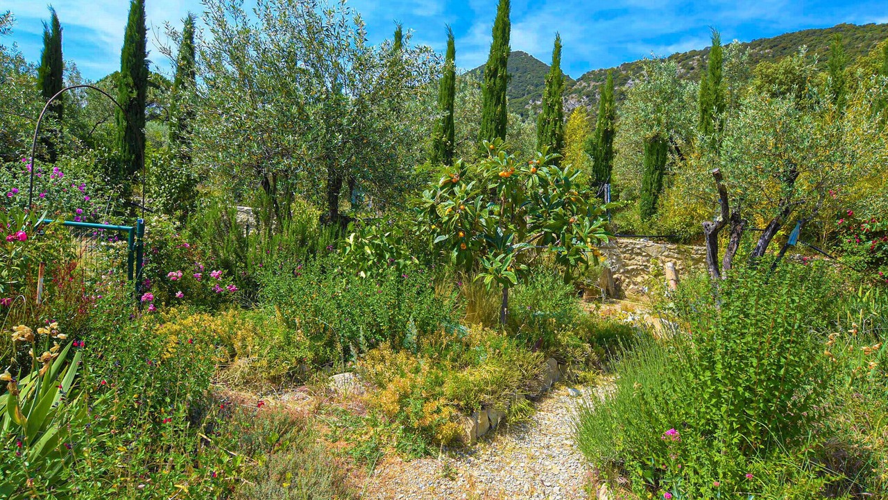 Photo of Others in Nyons