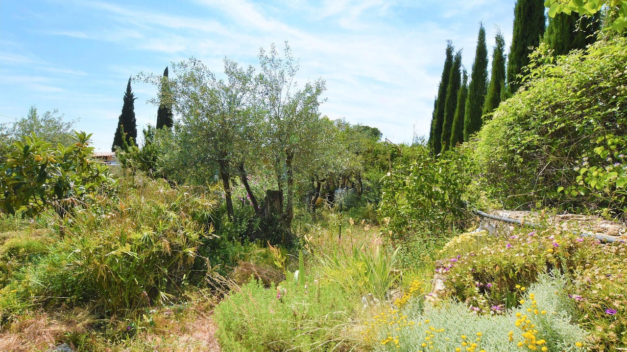 Photo of Outdoor in Nyons