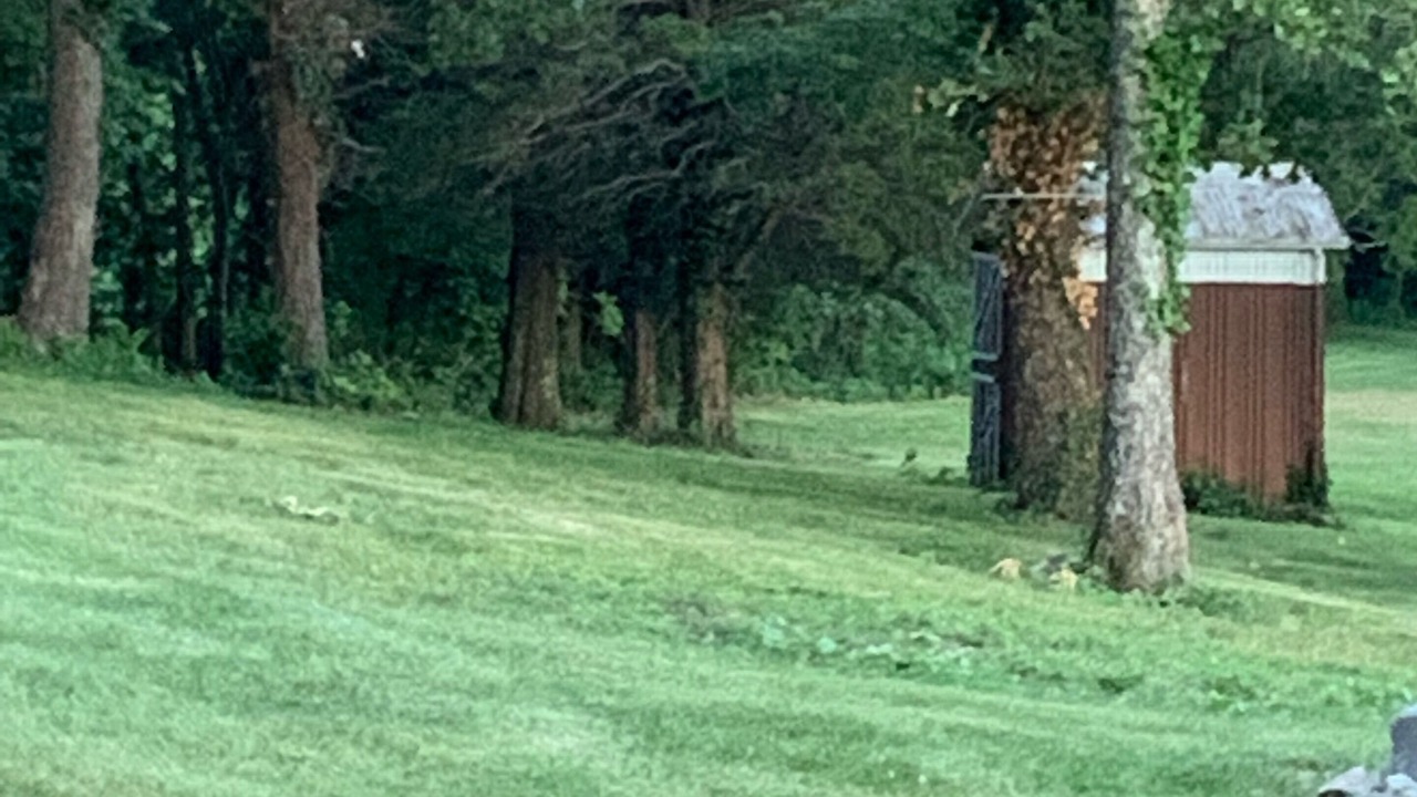 Photo of Outdoor in Union