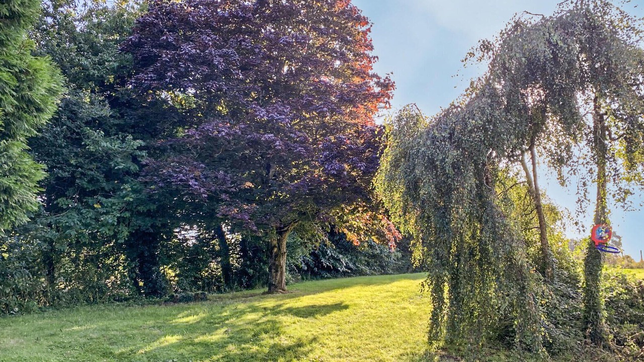 Photo of Others in Quemper-Guezennec