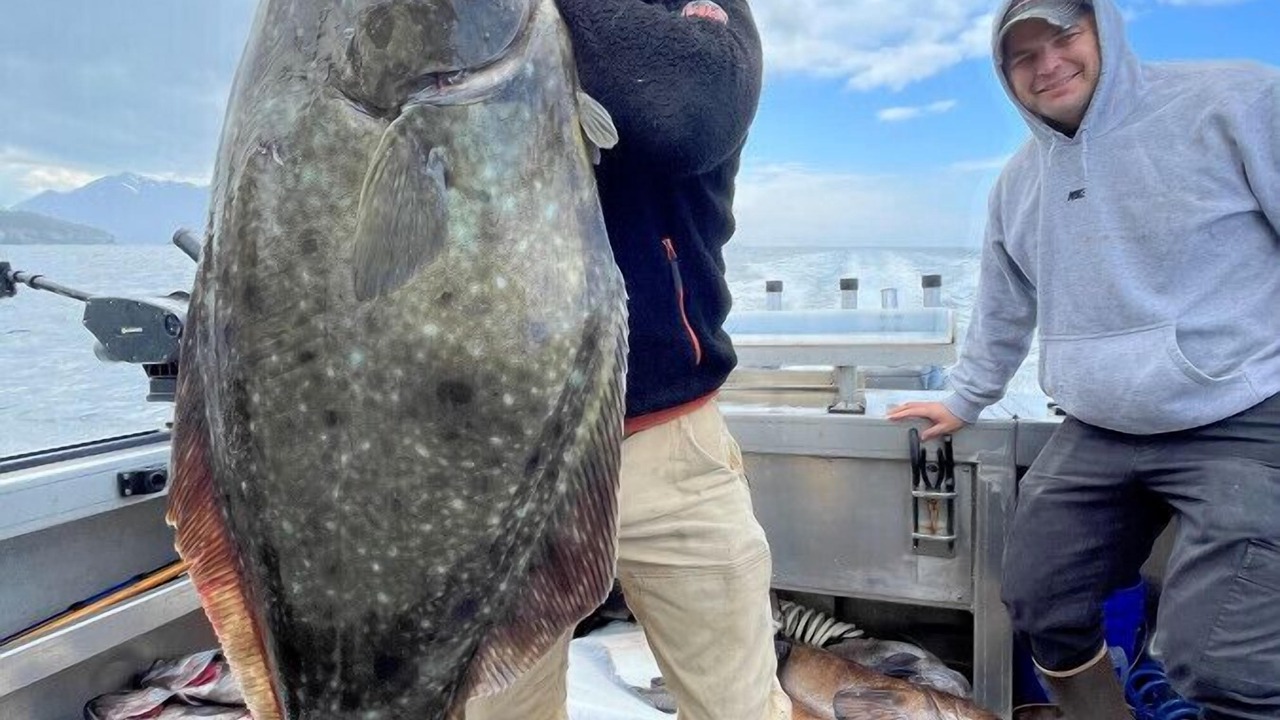 Photo of Others in Anchor Point