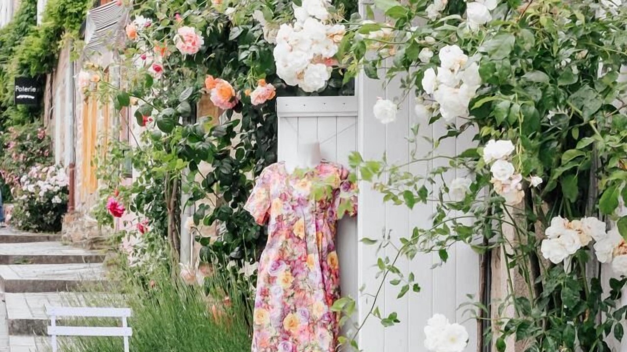 Photo of Outdoor in Pluvigner