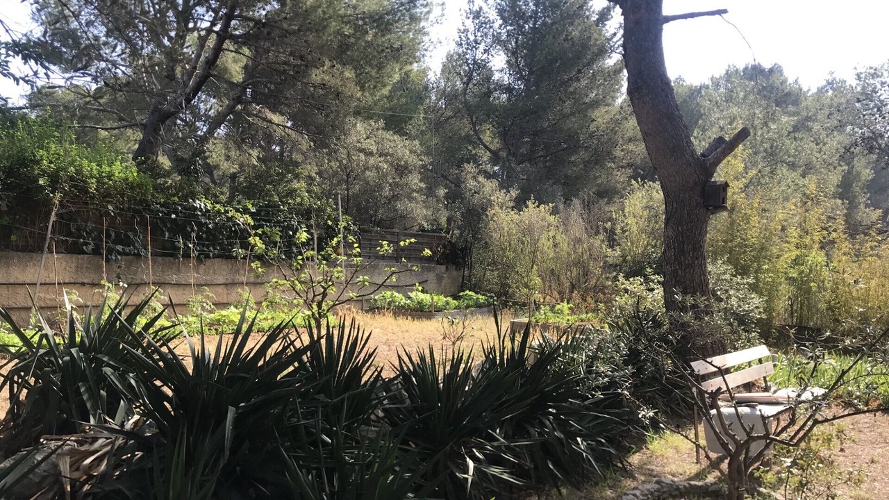 Photo of Outdoor in Martigues