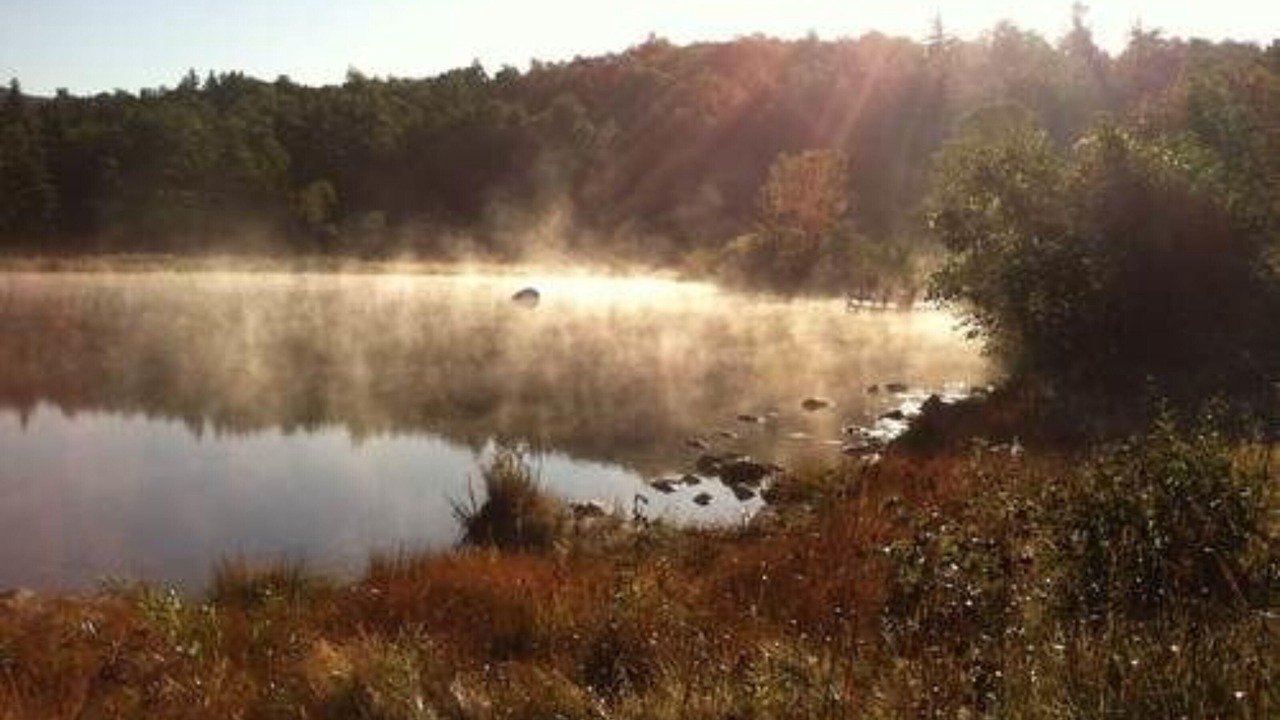 Photo of Outdoor in Keene
