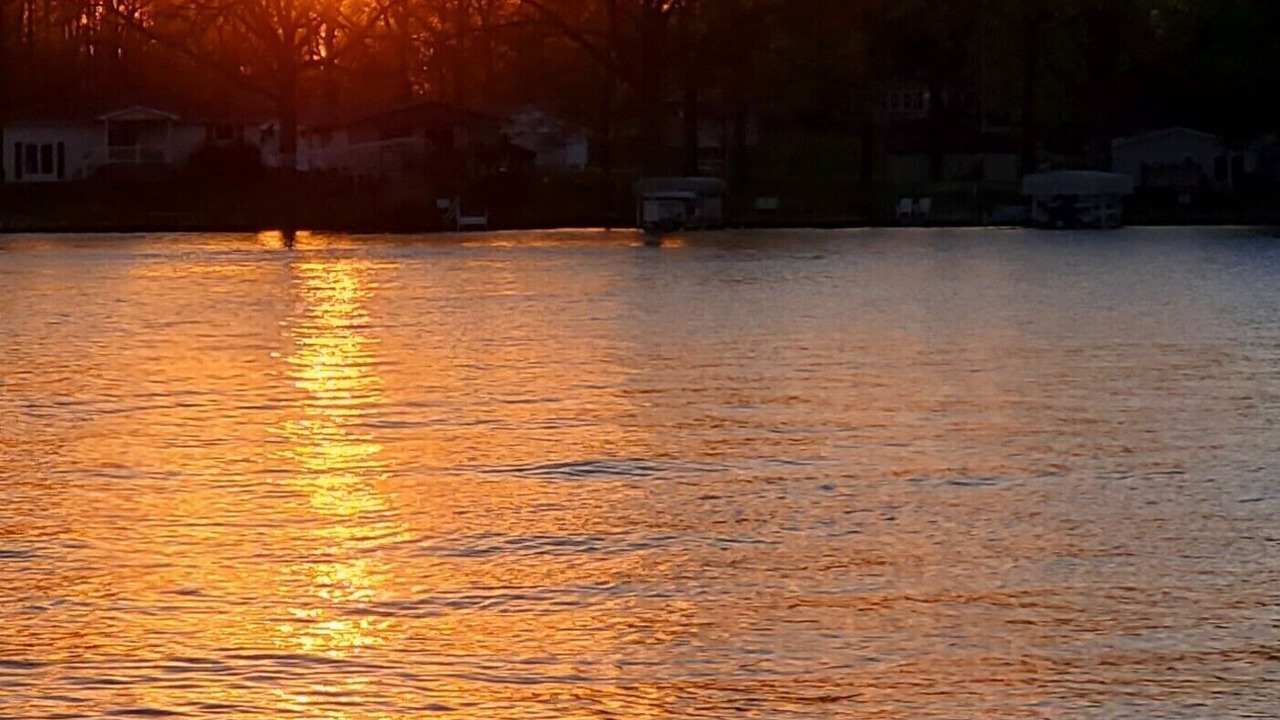 Photo of Others in Quincy