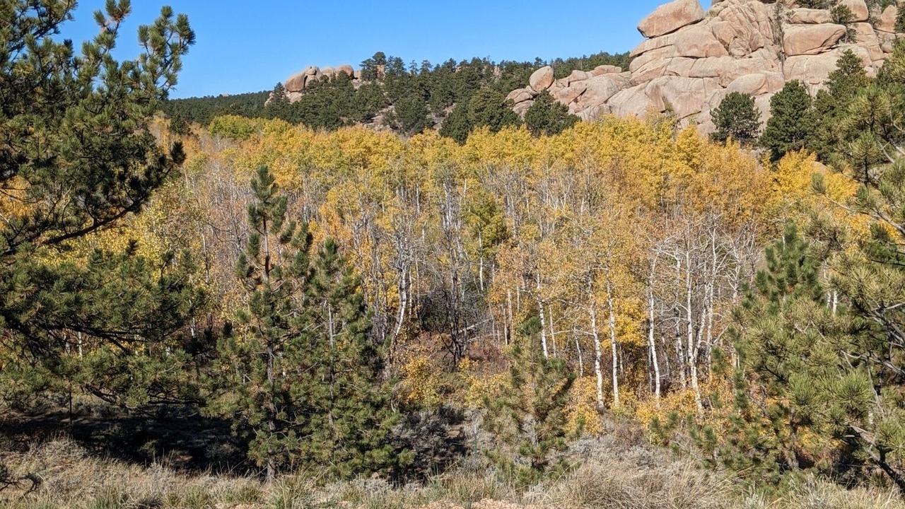 Photo of Others in Granite Canon