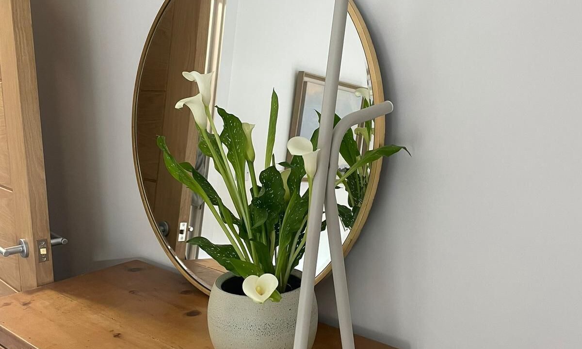 Photo of Others in Leek