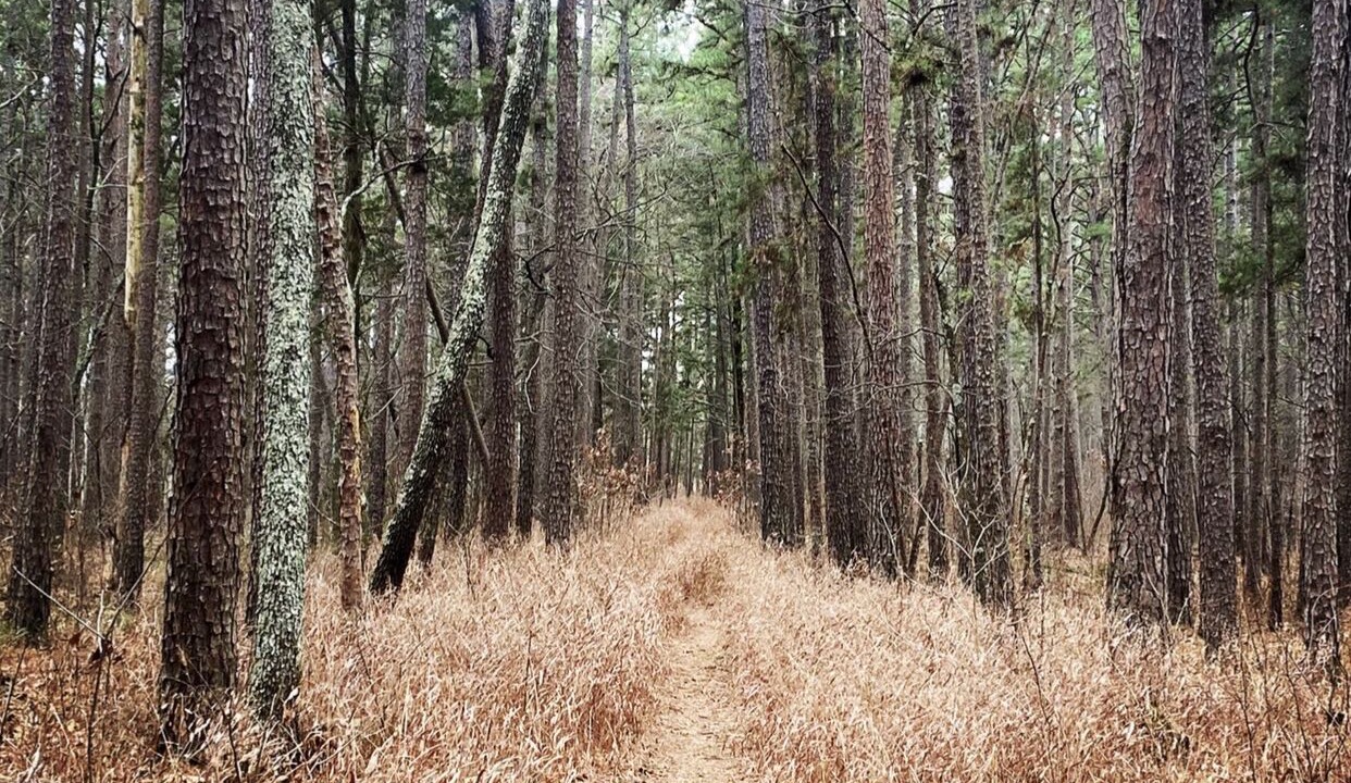 Photo of Outdoor in Farmington