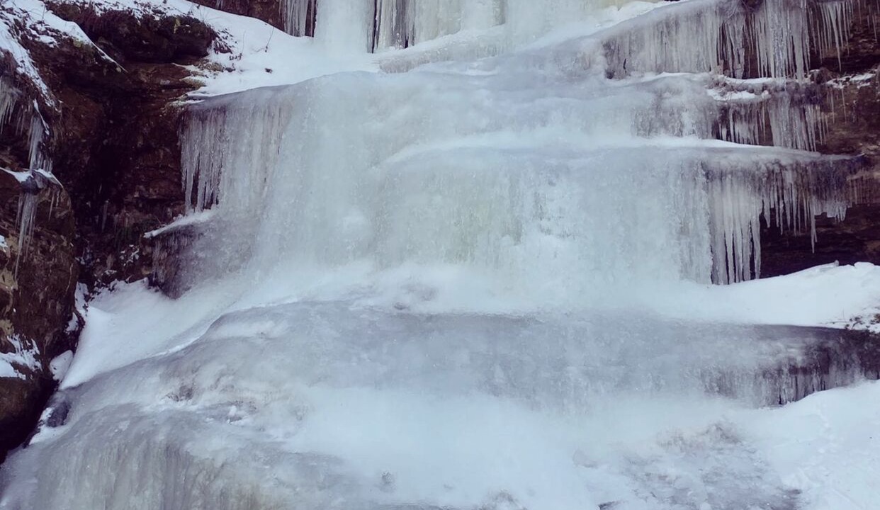 Photo of Outdoor in Farmington