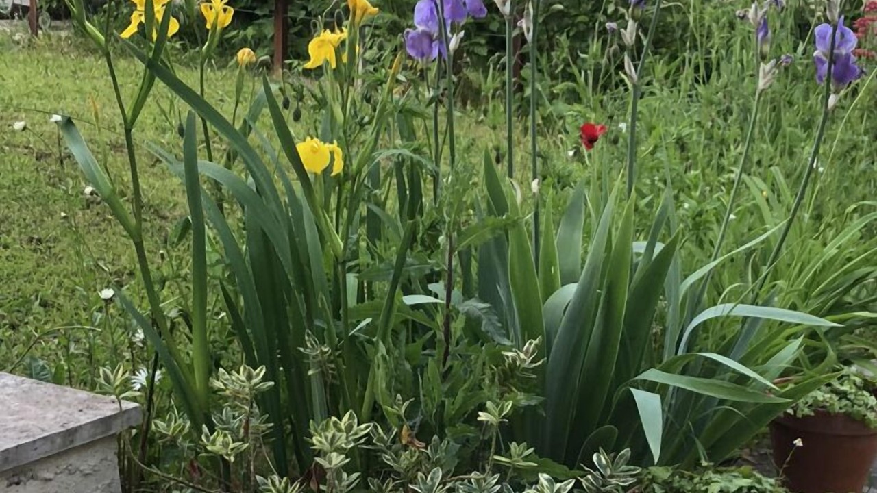 Photo of Outdoor in Saint-Pryve-Saint-Mesmin