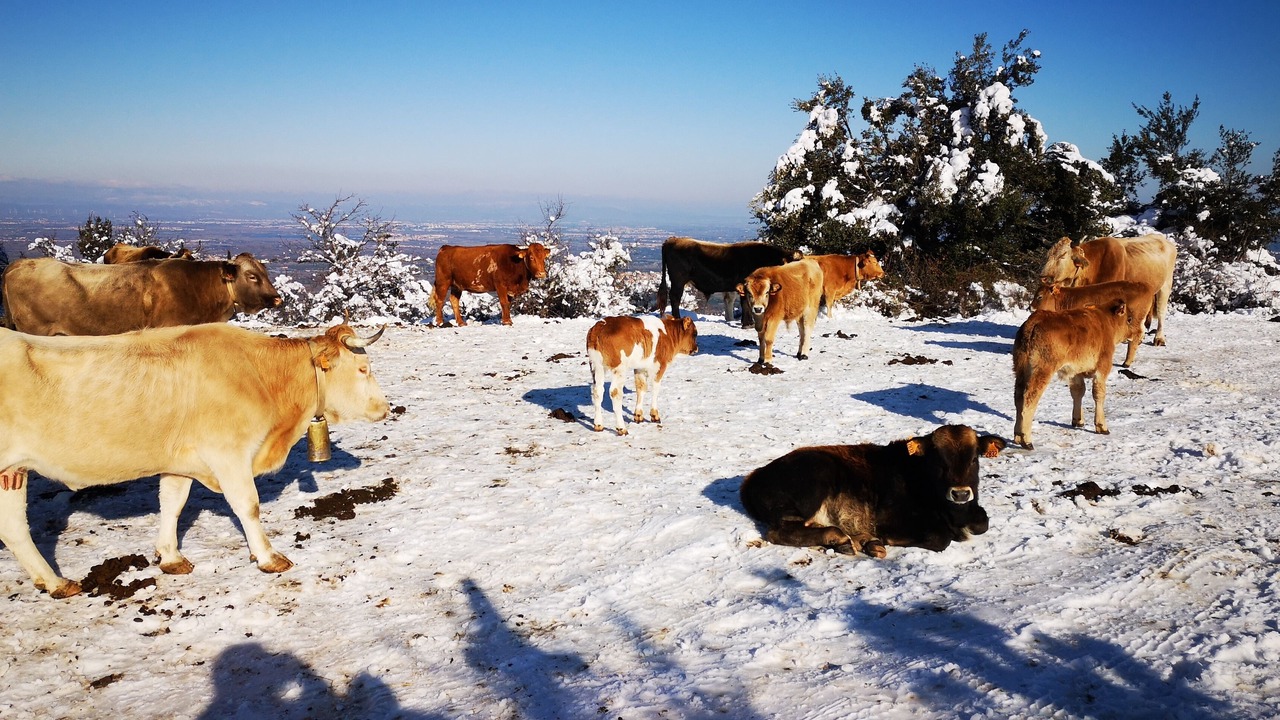 Photo of Outdoor in Sorede