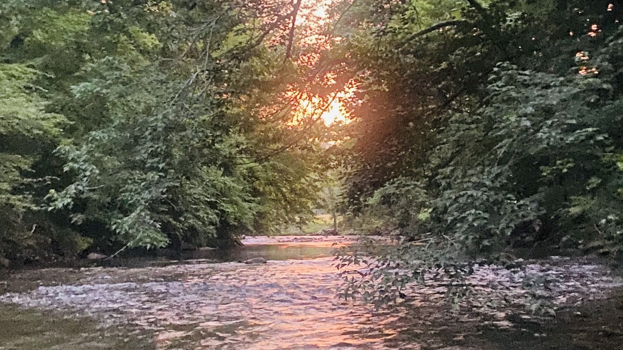 Photo of Outdoor in Horse Shoe