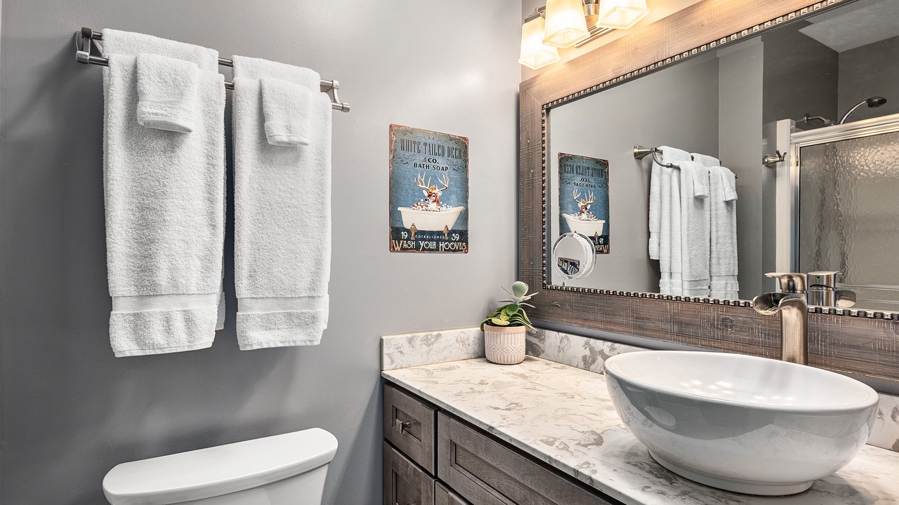 Photo of Bathroom in Horse Shoe