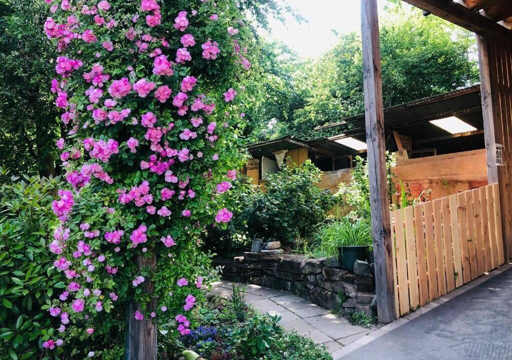 Photo of Outdoor in Bischwiller