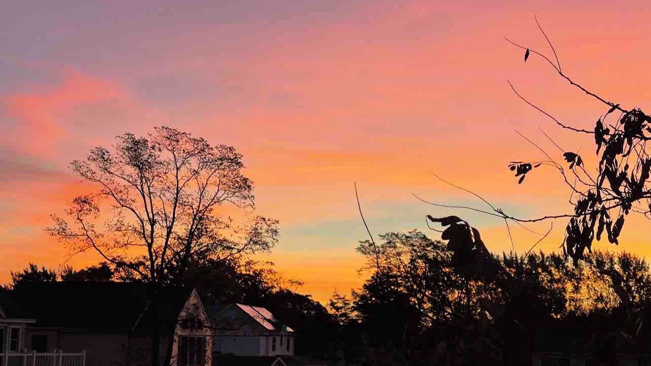 Photo of Others in Bayville