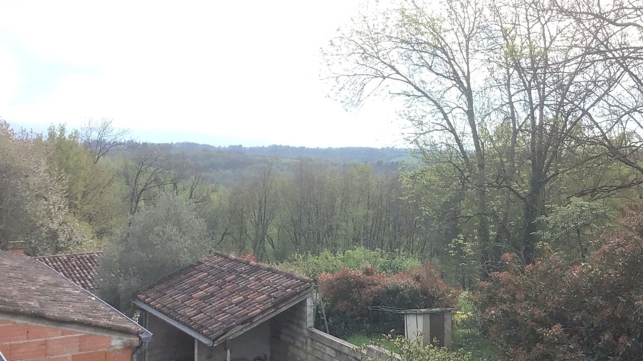 Photo of Outdoor in Burlats