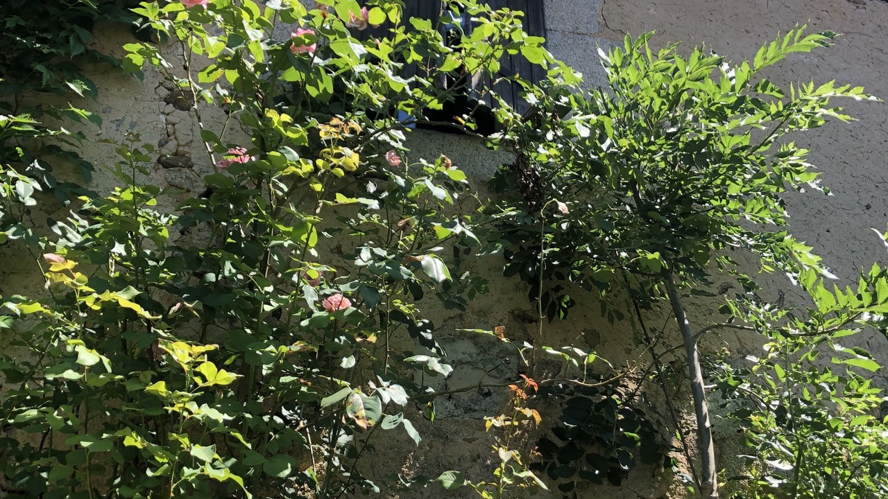 Photo of Outdoor in Burlats