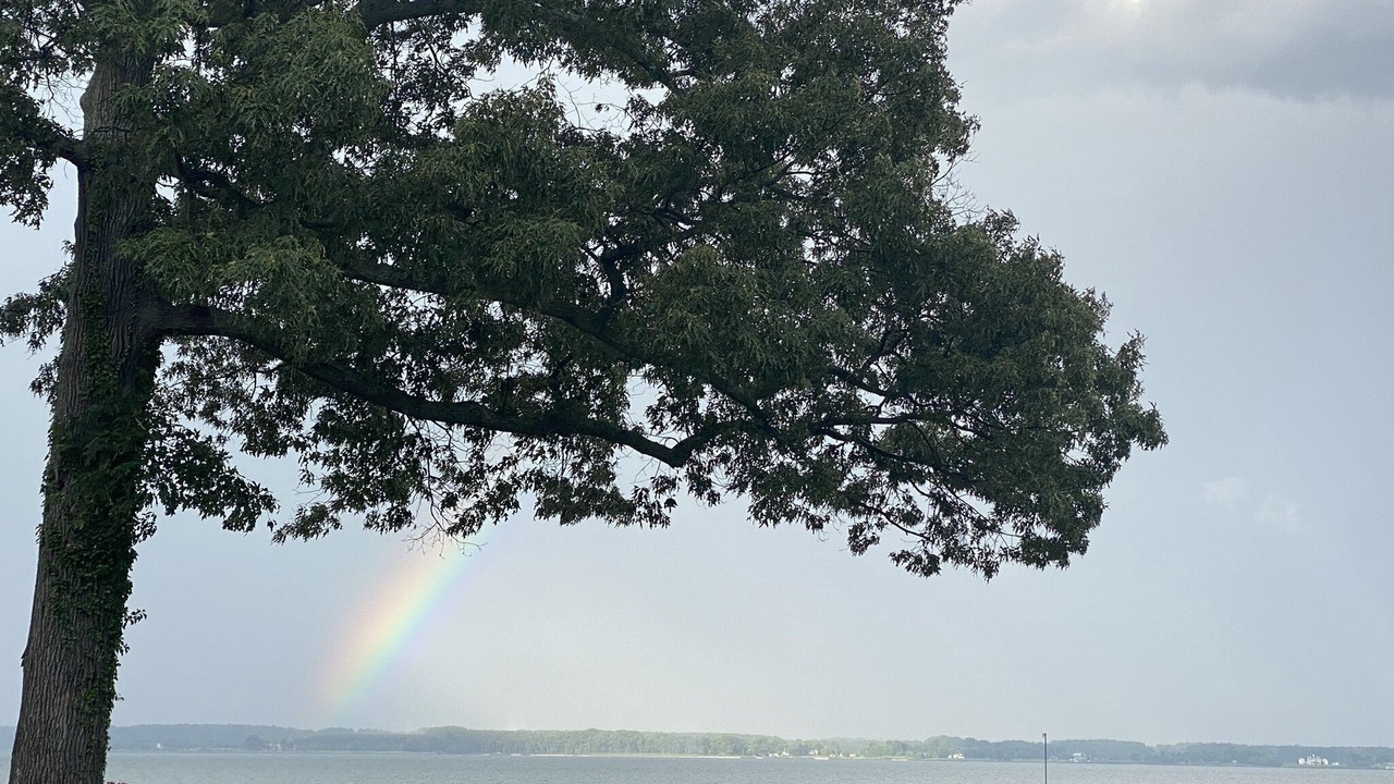 Photo of Others in Cobb Island