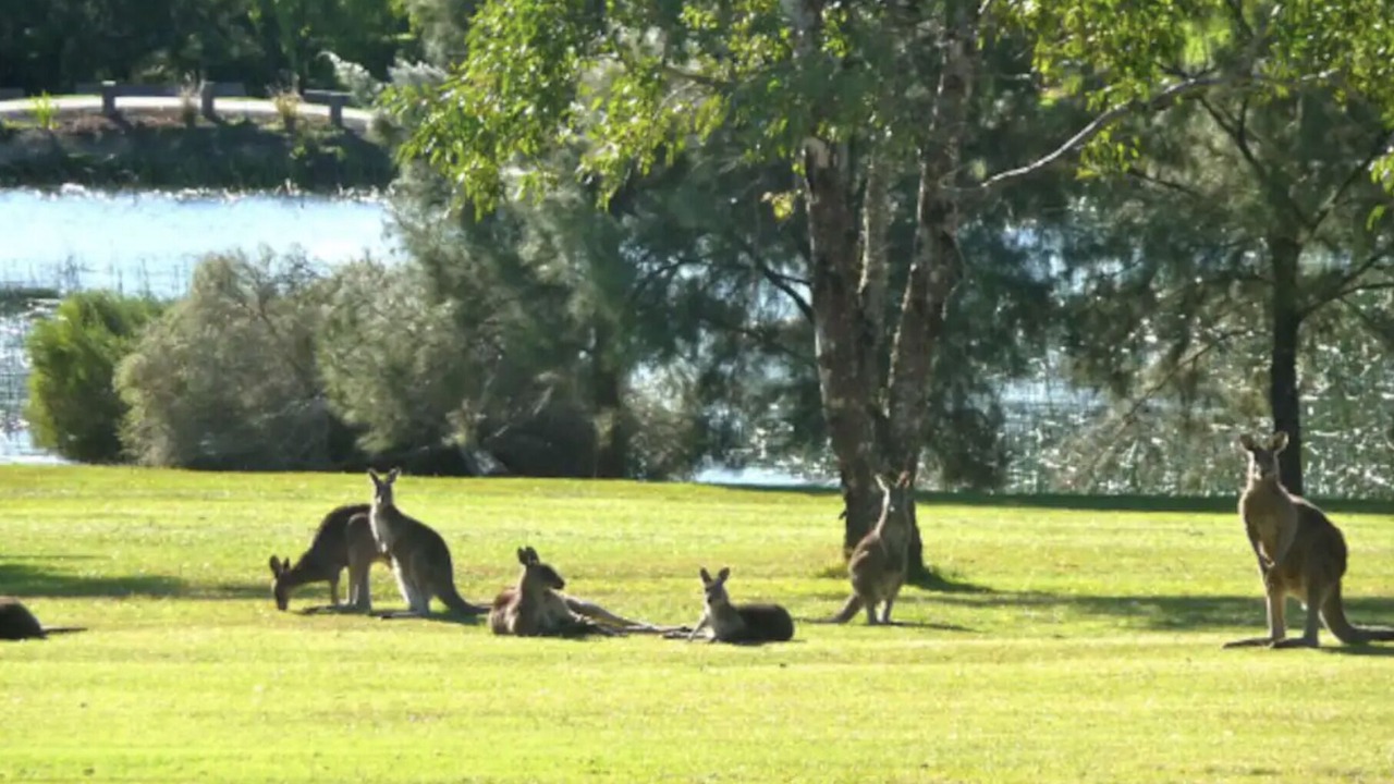 Photo of Others in Kangaroo Valley