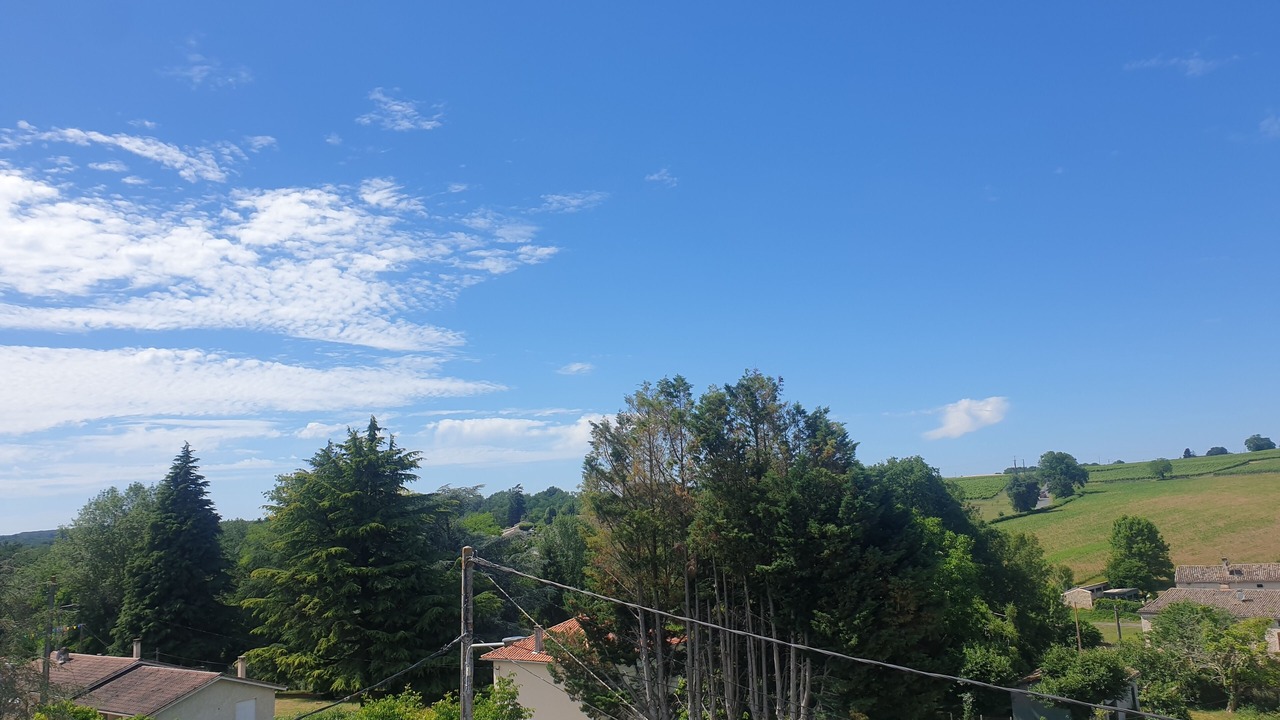 Photo of Others in Pellegrue