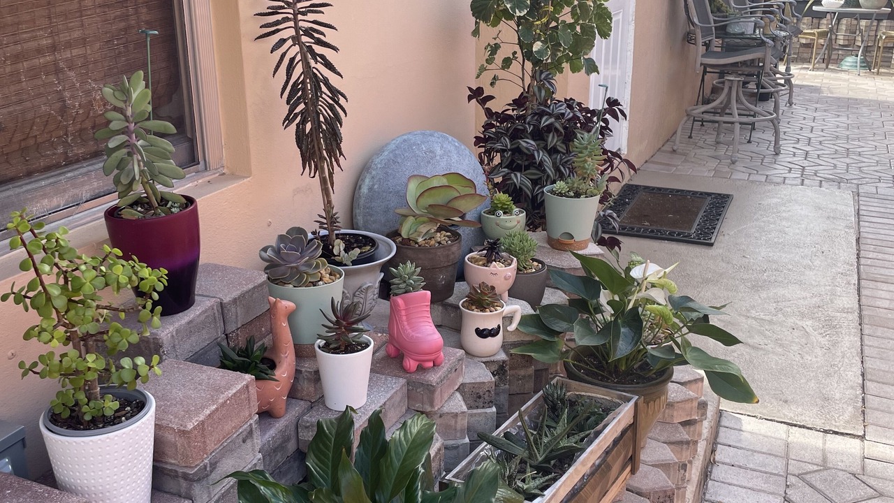 Photo of Patio Balcony in Westgate
