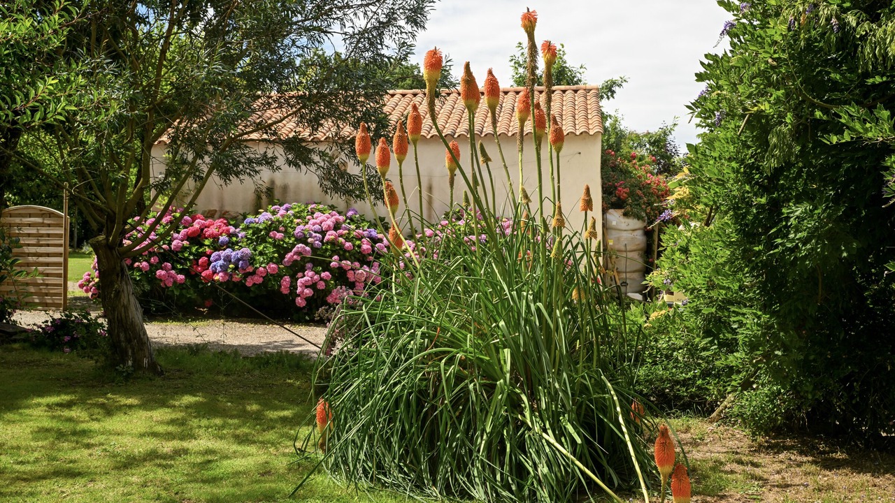 Photo of Outdoor in Olonne-sur-Mer