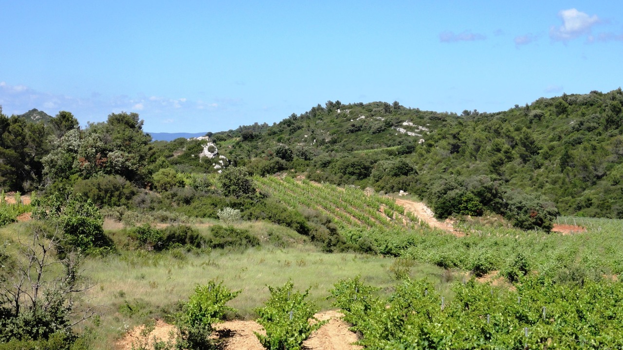 Photo of Outdoor in Assignan
