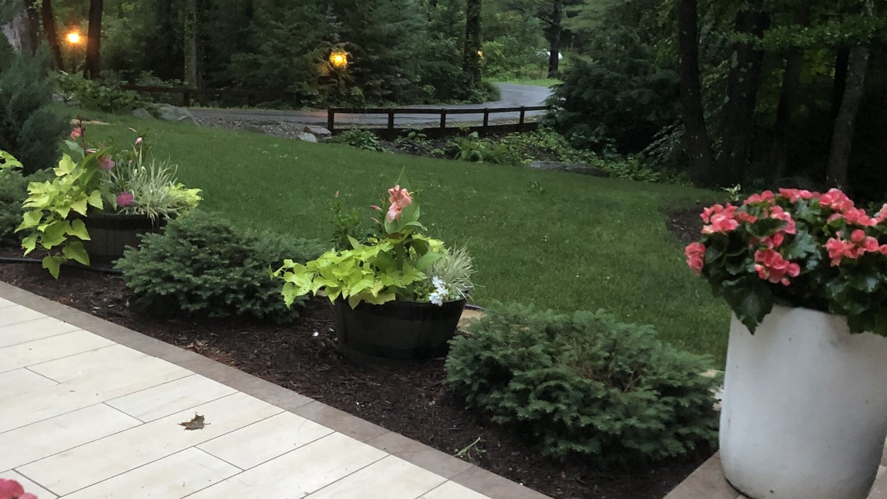 Photo of Others in Saratoga Springs